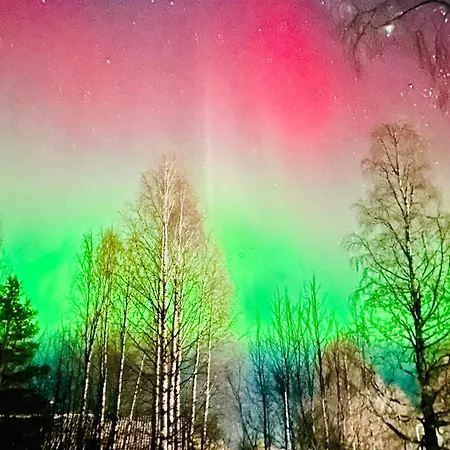 Apartment Reindeer - Komfortowy Dom W Sercu Laponii! Pello