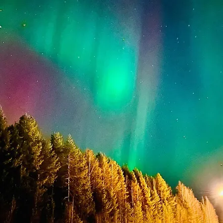 Reindeer - Komfortowy Dom W Sercu Laponii! * Pello