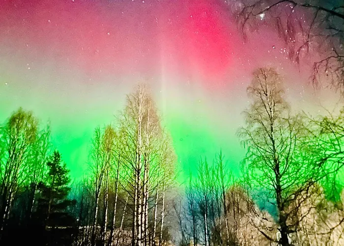 公寓 Reindeer - Komfortowy Dom W Sercu Laponii! 佩洛